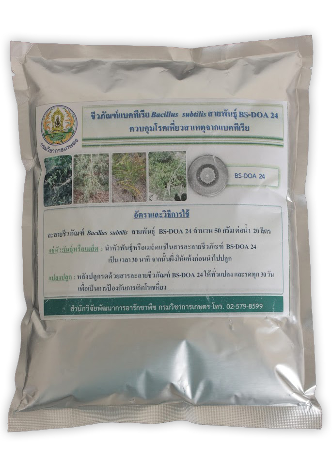 กรมวิชาการเกษตร ขยายผลงานวิจัยเชิงพาณิชย์ เปิดโผ 3 ปุ๋ยตัวท็อป เอกชนชิงรับถ่ายทอดเทคโนโลยีมากสุด 3 03 BS DOA24 2