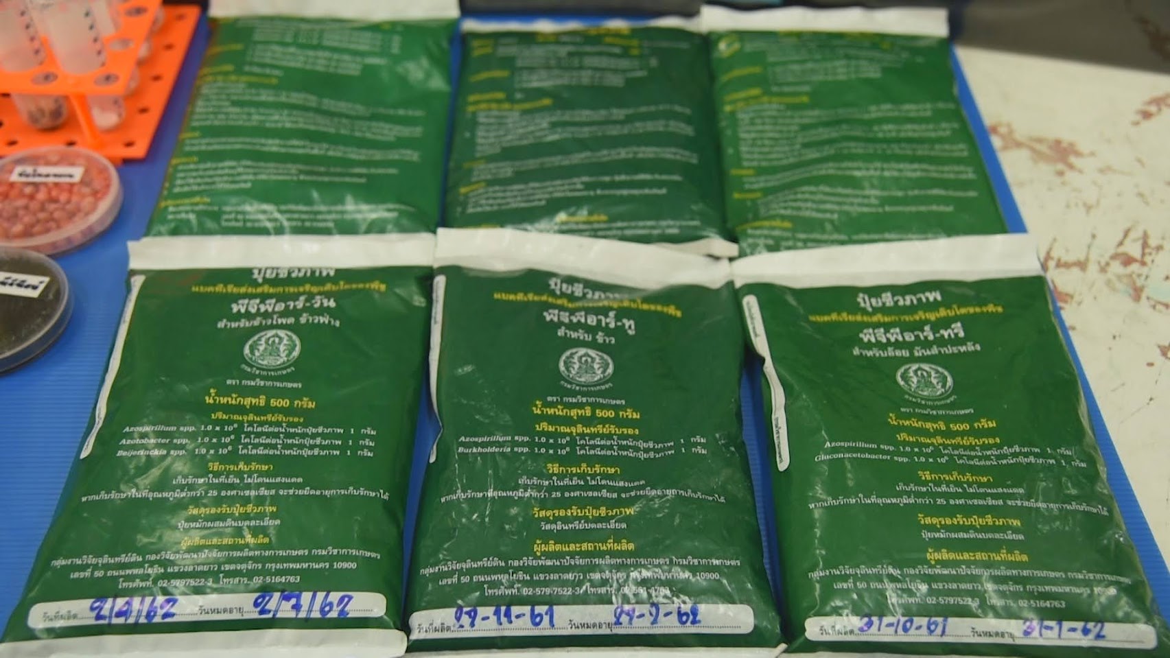 กรมวิชาการเกษตร ขยายผลงานวิจัยเชิงพาณิชย์ เปิดโผ 3 ปุ๋ยตัวท็อป เอกชนชิงรับถ่ายทอดเทคโนโลยีมากสุด 6 05 PGPR 1 3 2