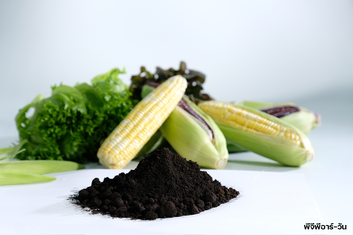 กรมวิชาการเกษตร ขยายผลงานวิจัยเชิงพาณิชย์ เปิดโผ 3 ปุ๋ยตัวท็อป เอกชนชิงรับถ่ายทอดเทคโนโลยีมากสุด 4 06 PGPRข้าวโพดข้าวฟ่่าง