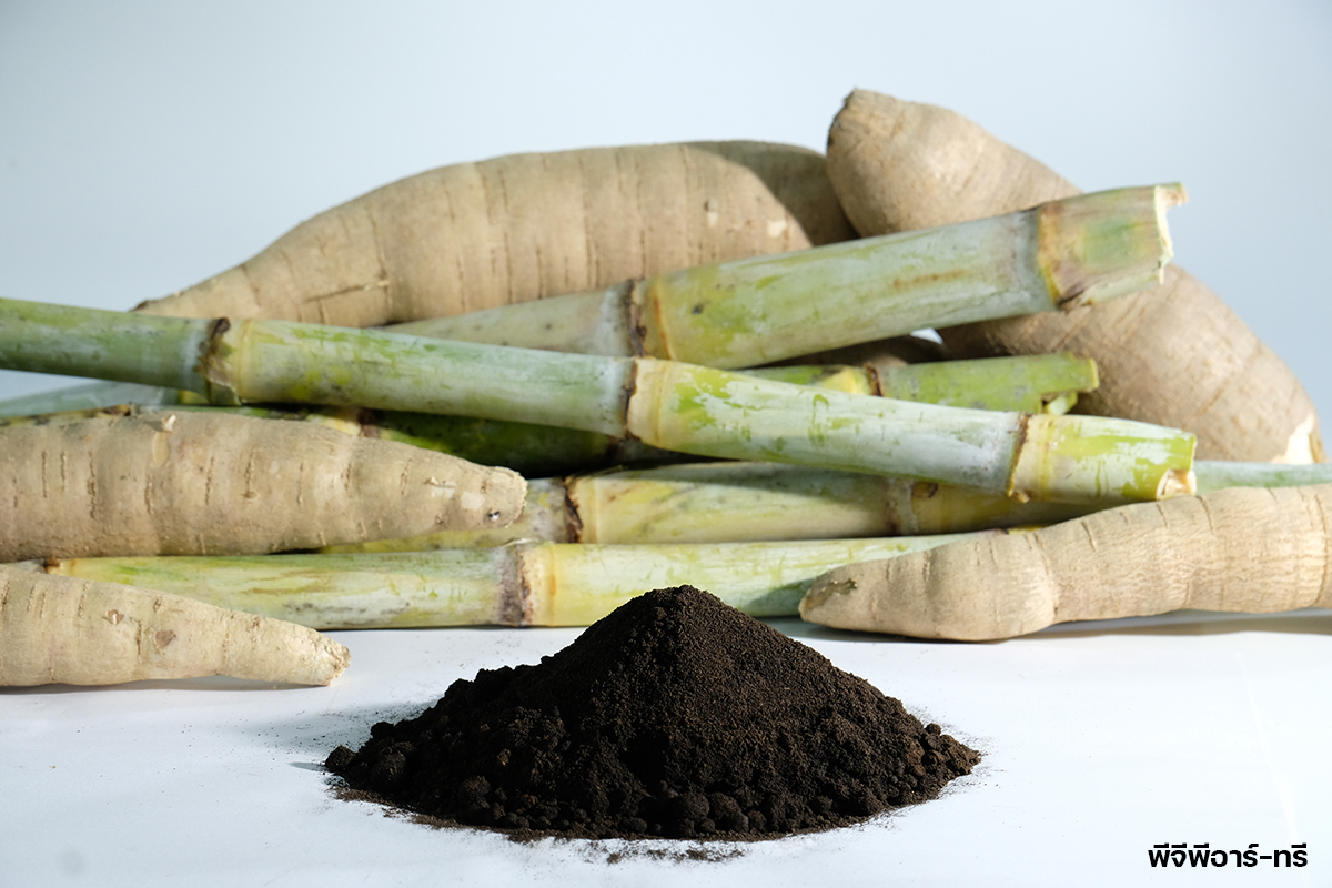 กรมวิชาการเกษตร ขยายผลงานวิจัยเชิงพาณิชย์ เปิดโผ 3 ปุ๋ยตัวท็อป เอกชนชิงรับถ่ายทอดเทคโนโลยีมากสุด 8 07 PGPR ข้าวโพดอ้อยและมันสำปะหลัง