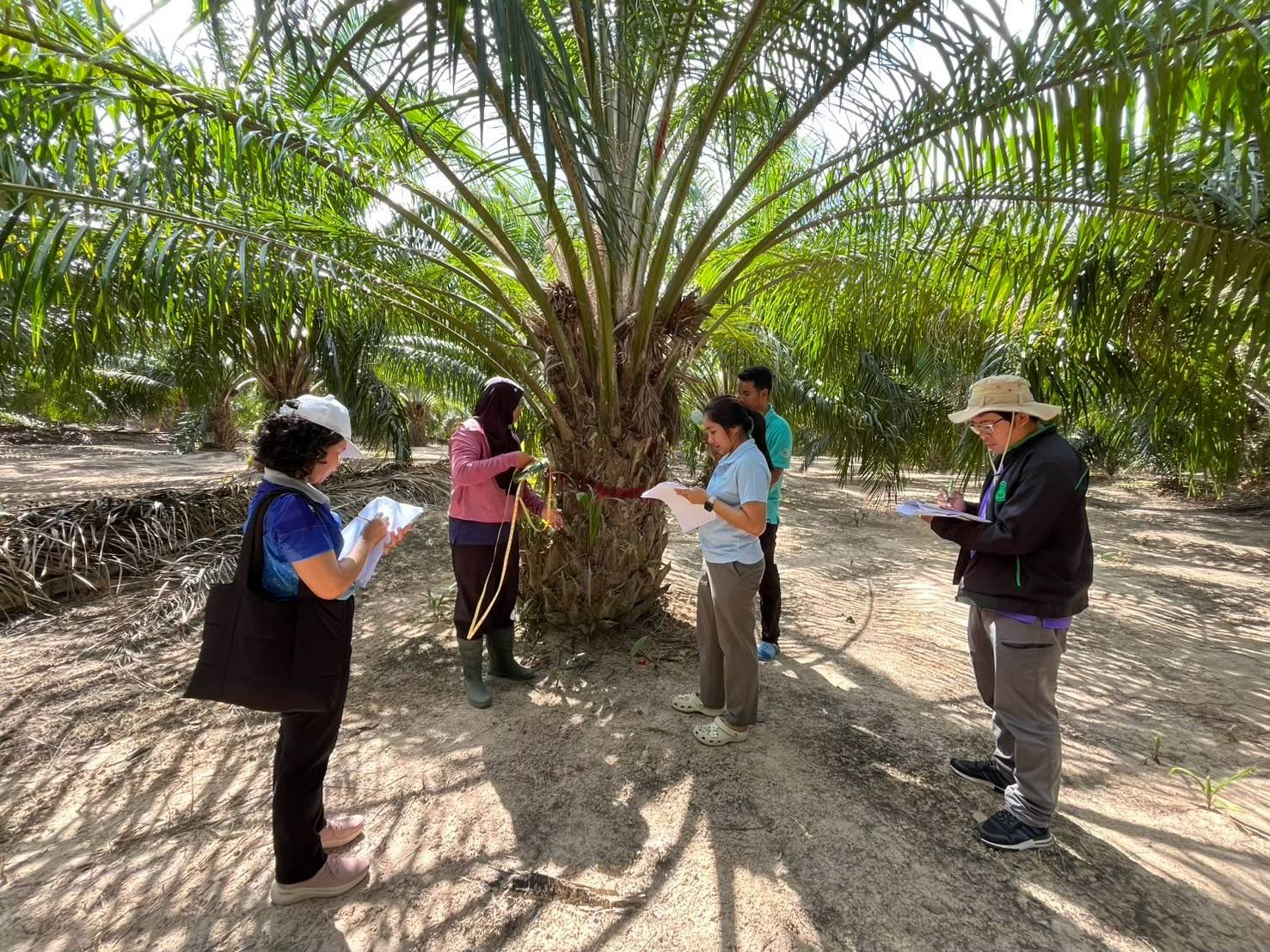 กรมวิชาการเกษตร กรมการข้าว องค์การบริหารจัดการก๊าซเรือนกระจก ผนึกกำลังลดก๊าซเรือนกระจกในนาข้าว เดินหน้าขับเคลื่อนเกษตรไทยสู่ Net Zero 5 1007152
