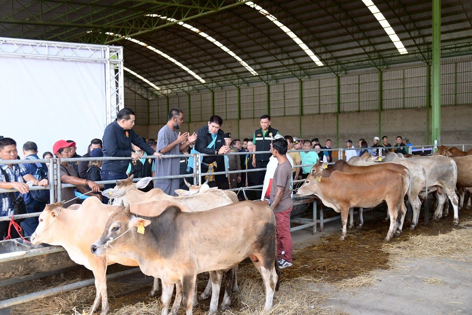 “ร้อยเอกธรรมนัส” ลุยจังหวัดตาก แก้ปมนำเข้า 'โค-แพะ-แกะ' ชายแดนเมียนมา พร้อมสั่งคุมเข้มสินค้าเกษตรเถื่อน เร่งดันราคาโคเนื้อแตะ 80 บาท/กิโลกรัม ภายใน 3 เดือน 6 1375476