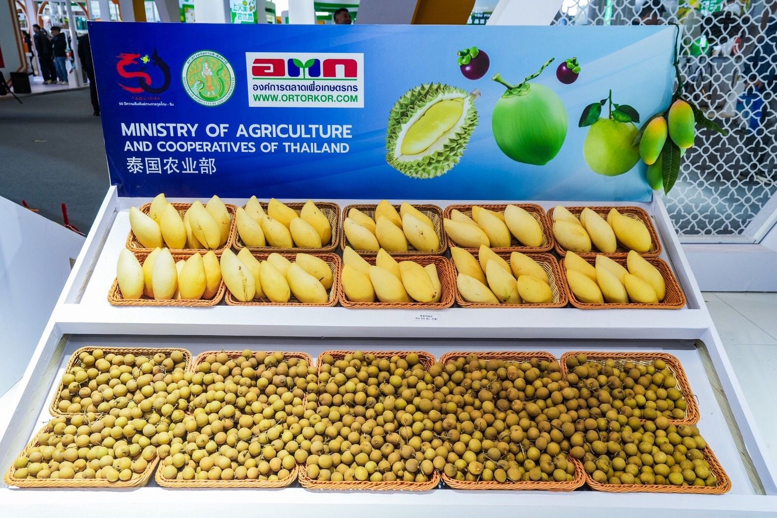 “รองนายกฯ ธรรมนัส”นำทัพไทยบุกงานเกษตรนานาชาติ เทียนจิน โชว์ศักยภาพสินค้าเกษตรพรีเมียม ดันไทยสู่ศูนย์กลางอาหารโลก ขยายความร่วมมือการค้า ฉลอง 50 ปีสัมพันธ์ทางการทูตไทย–จีน สร้างโอกาสเกษตรกรไทยเชื่อมตลาดโลก 12 1384216