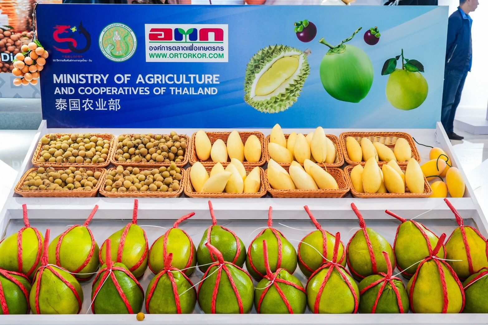 “รองนายกฯ ธรรมนัส”นำทัพไทยบุกงานเกษตรนานาชาติ เทียนจิน โชว์ศักยภาพสินค้าเกษตรพรีเมียม ดันไทยสู่ศูนย์กลางอาหารโลก ขยายความร่วมมือการค้า ฉลอง 50 ปีสัมพันธ์ทางการทูตไทย–จีน สร้างโอกาสเกษตรกรไทยเชื่อมตลาดโลก 11 1384217