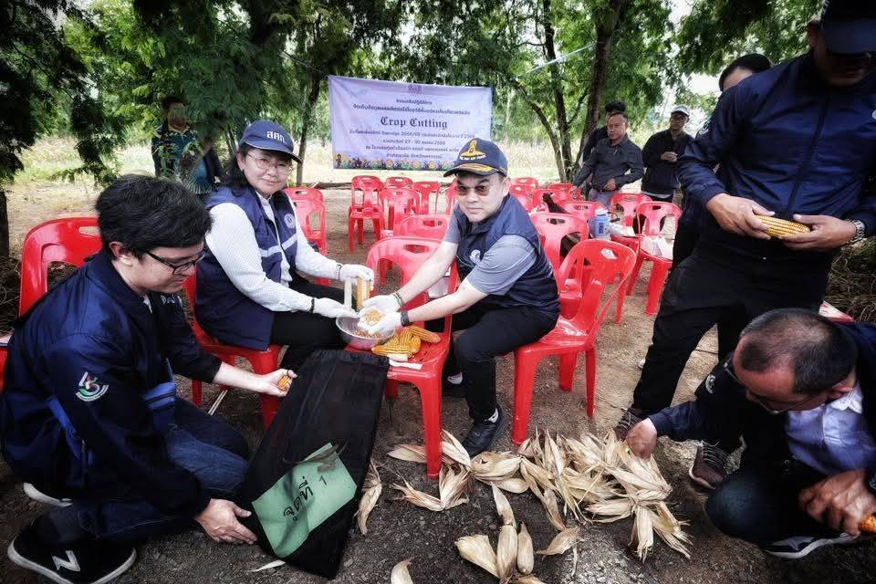 ทุกภาคส่วนร่วมสังเกตการณ์Crop Cutting เพชรบูรณ์สศก. ยันหลักข้อมูลสถิติการเกษตร ตรวจสอบได้ สะท้อนความจริงในพื้นที่ 11 1620310