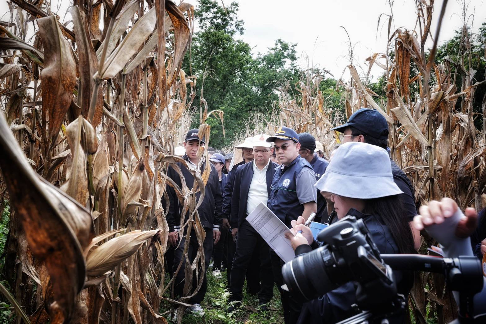 ทุกภาคส่วนร่วมสังเกตการณ์Crop Cutting เพชรบูรณ์สศก. ยันหลักข้อมูลสถิติการเกษตร ตรวจสอบได้ สะท้อนความจริงในพื้นที่ 13 1620312