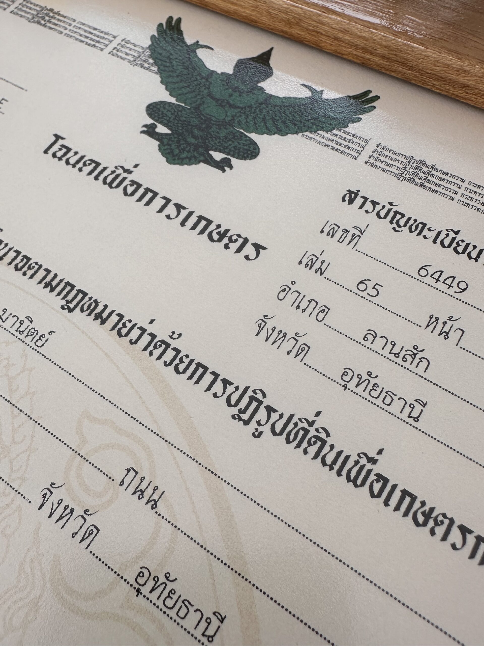 เมื่อ .. 26436627 9936 48A6 B406 A805CC3ABA06 scaled