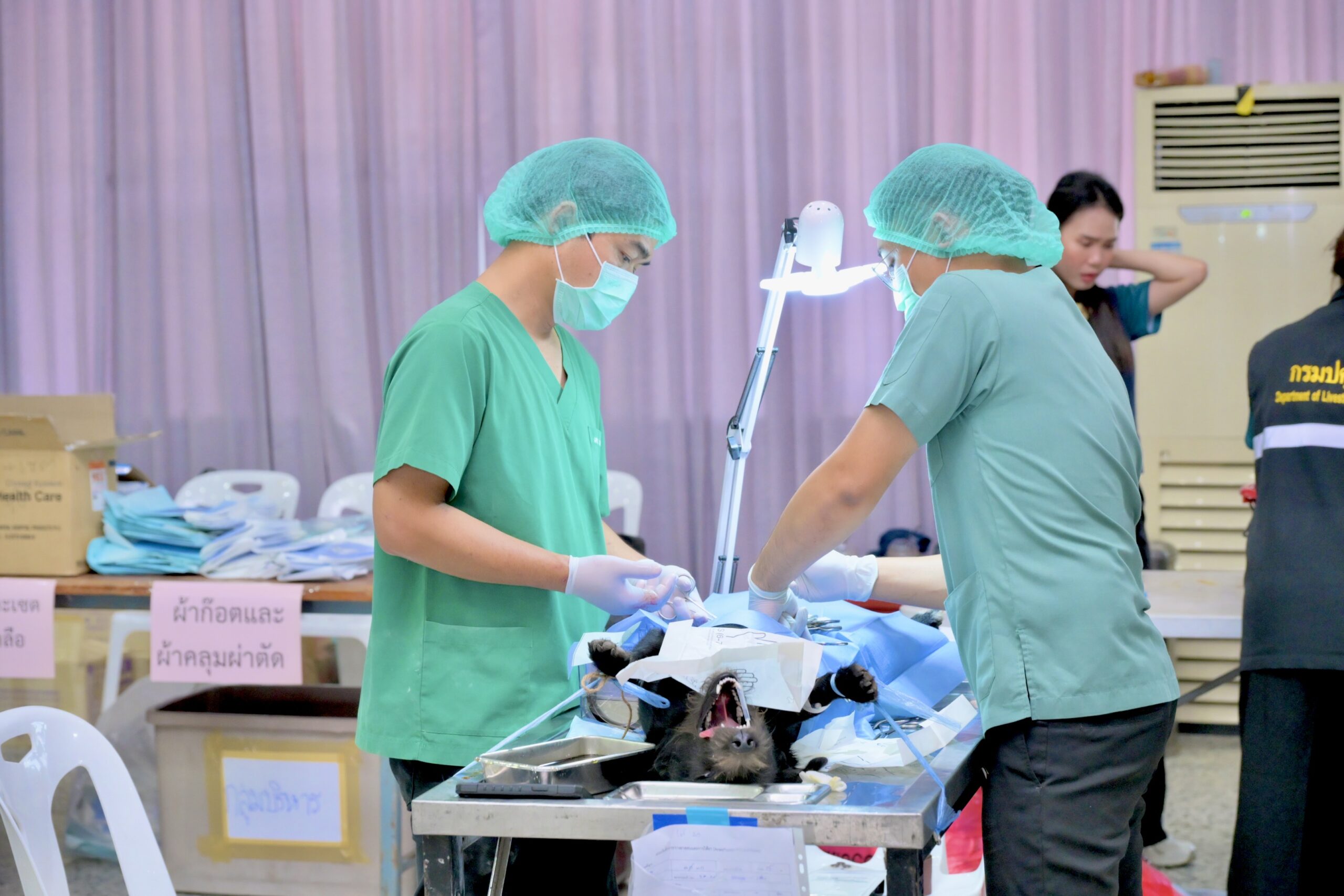 “ร้อยเอก ธรรมนัส” ชูทำหมันสุนัขและแมวฯ ควบคุมโรคพิษสุนัขบ้า ช่วยพัฒนาคุณภาพชีวิตประชาชน พร้อมลงพื้นที่พบปะเกษตรกรเพื่อรับฟังปัญหา มอบโฉนดและปัจจัยการผลิตในพื้นที่ จ.น่าน 8 3706129 scaled