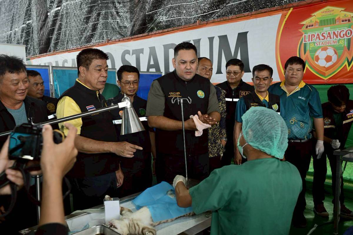 “รมช.อามินทร์” ลุยปัตตานี เปิดโครงการทำหมันสุนัข–แมว คุมโรคพิษสุนัขบ้าสร้างพื้นที่ปลอดภัย คุมประชากรสัตว์ ลดปัญหาสัตว์จรจัด ป้องกันการแพร่ระบาดโรคร้ายแรง 7 3715304