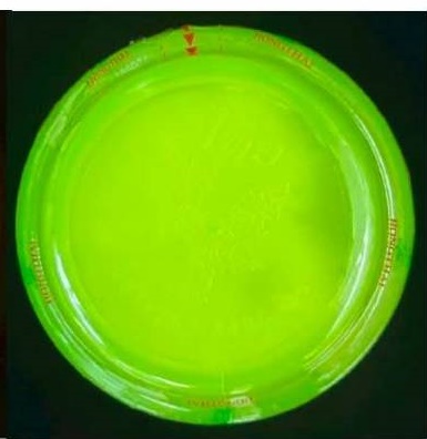 ด่วน อย.ตรวจพบ 549506วว