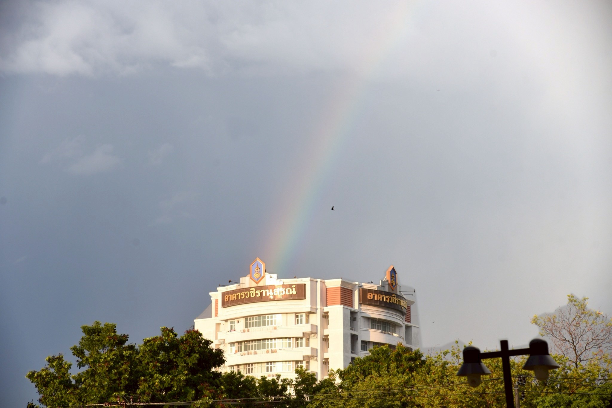 อธิบดีกรมข้าว เข้าสักการะสิ่งศักดิ์สิทธิ์ หลังฝนแรก ปรากฏ 556139805 1332556245574167 2474227980985702630 n