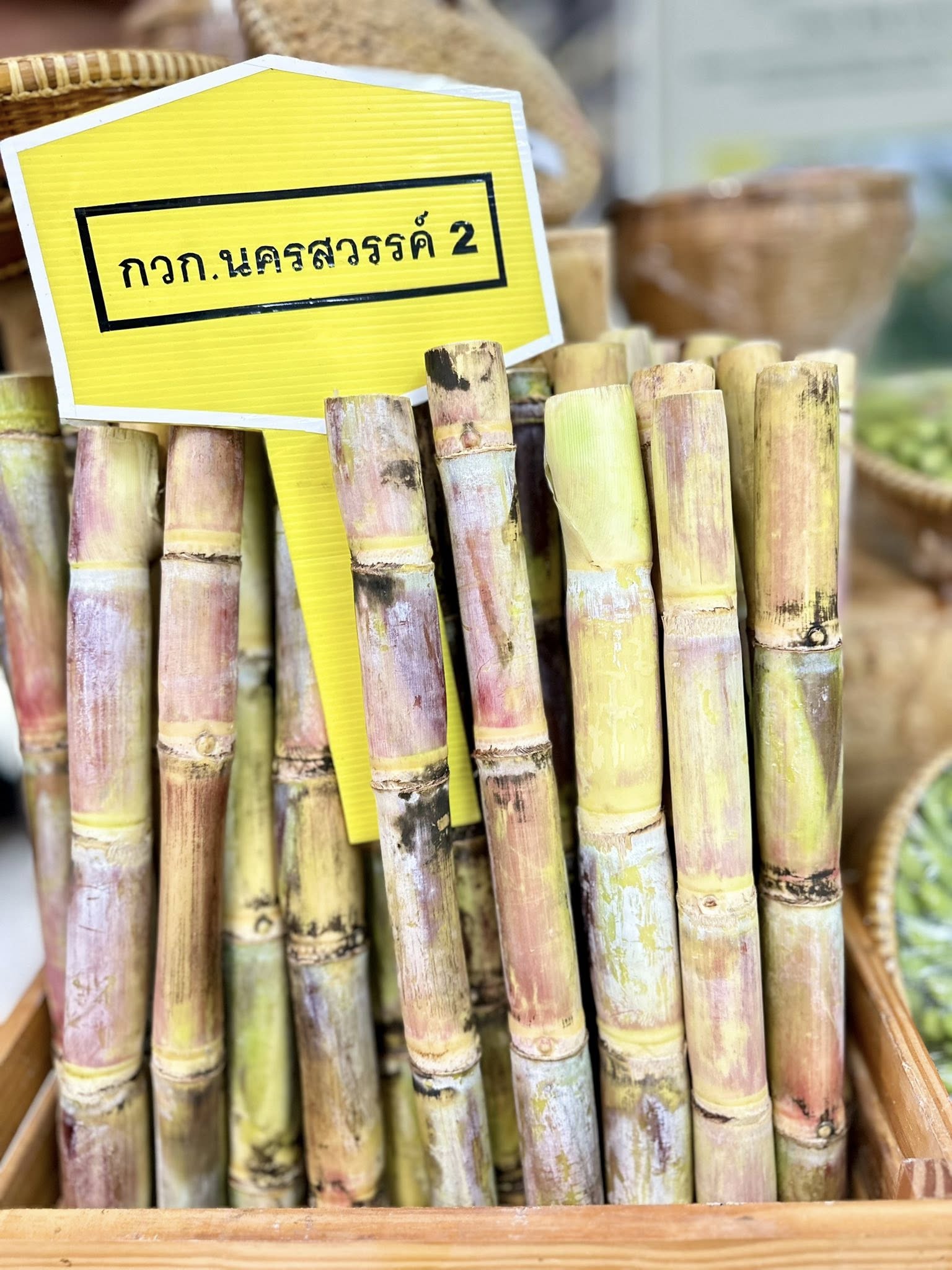 เปิด 10 พืชพันธุ์ดี ปี 2568 จากกรมวิชาการเกษตร 8 557142305