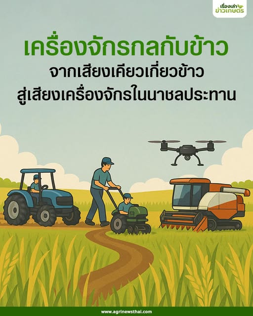 เครื่องจักรกลเกษตร โดย ดร.เล็ก ตอนที่ 4 เครื่องจักรกลเกษตรกับข้าว “จากเสียงเคียวเกี่ยวข้าว สู่เสียงเครื่องจักรในนาชลประทาน” 2 557869984 1607424237244619 8303758072609599517 n