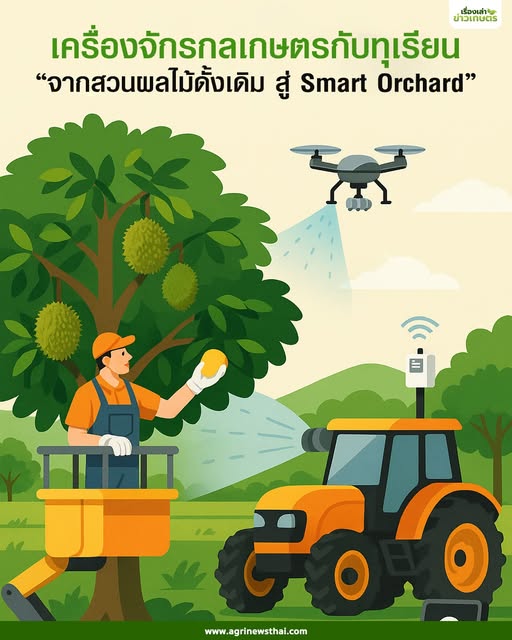 เครื่องจักรกลเกษตร โดย ดร.เล็ก ตอนที่ 6 เครื่องจักรกลเกษตรกับทุเรียน “จากสวนผลไม้ดั้งเดิม สู่ Smart Orchard” 2 558084817 1607914753862234 6795694027697765849 n