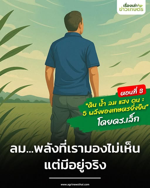 “ดิน น้ำ ลม แสง คน : 5 พลังของเกษตรยั่งยืน” โดย ดร.เล็ก ตอนที่ 3 : ลม...พลังที่เรามองไม่เห็น แต่มีอยู่จริง 2 558196127 1611038330216543 3698079053036885245 n