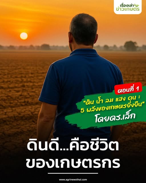 “ดิน น้ำ ลม แสง คน : 5 พลังของเกษตรยั่งยืน” โดย ดร.เล็ก ตอนที่ 1 : ดินดี...คือชีวิตของเกษตรกร 2 558544468 1609848363668873 2989812779435910818 n