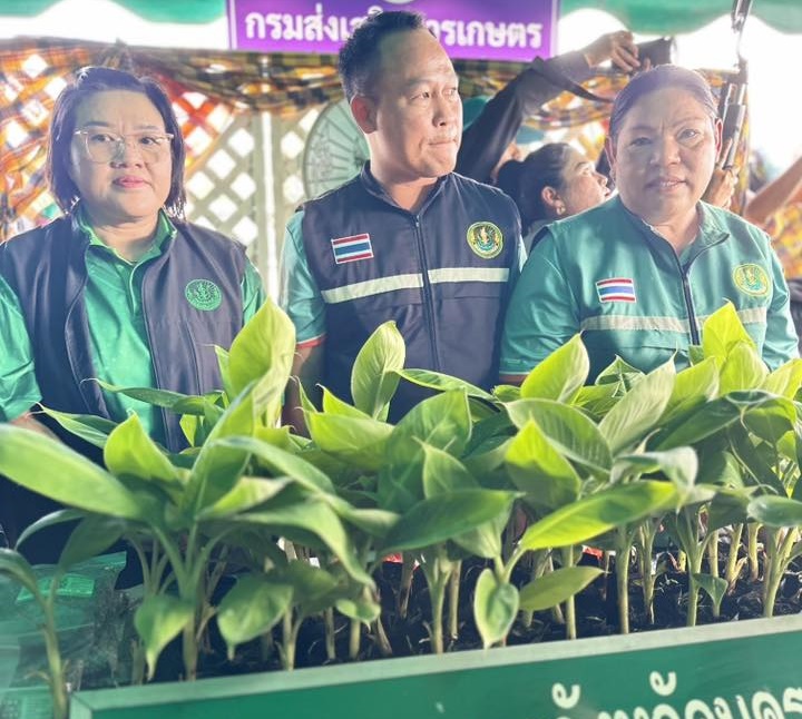 558860700 1611531563500553 1994275809738966905 nสส