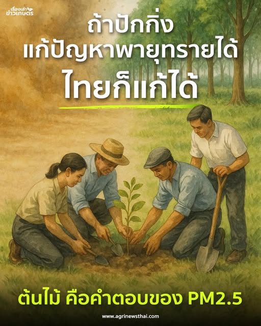 ถ้าปักกิ่งแก้ปัญหาพายุทรายได้…ไทยก็แก้ได้: ต้นไม้ คือคำตอบของ PM2.5 โดย ดร.เล็ก 8 558897450 1614118993241810 7099013606057070418 n