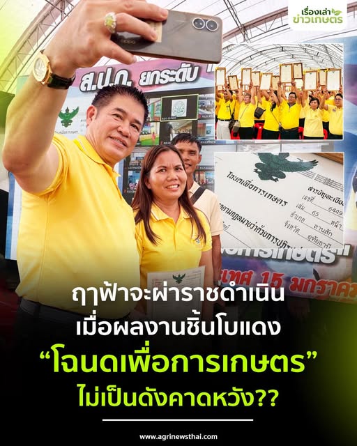 เมื่อ .. 558990325 1609456123708097 5385833549627397447 n