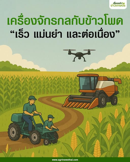 เครื่องจักรกลเกษตร โดยดร.เล็ก ตอนที่ 5 เครื่องจักรกลเกษตรกับข้าวโพด “เร็ว แม่นยำ และต่อเนื่อง” 6 560121054 1607845523869157 2254983866691254273 n