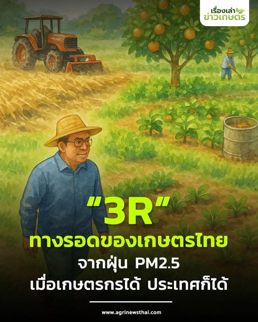 “3R”ทางรอดของเกษตรไทยจากฝุ่น PM2.5 เมื่อเกษตรกรได้ ประเทศก็ได้ 28 561198908 1616930979627278 5280591261130031308 n