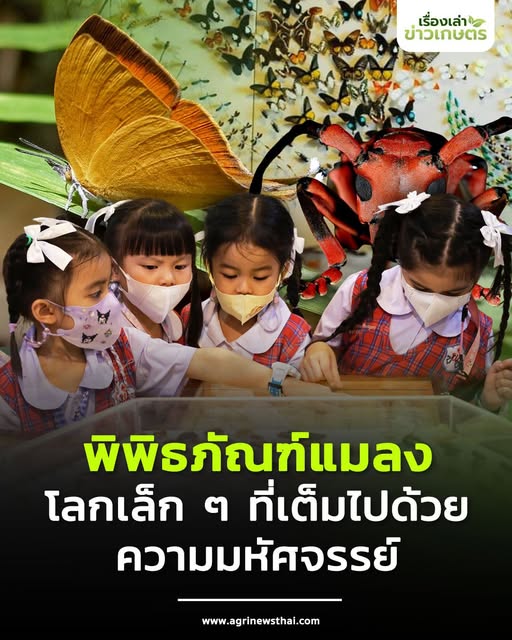 562284455 1619536756033367 128530241983989269 n