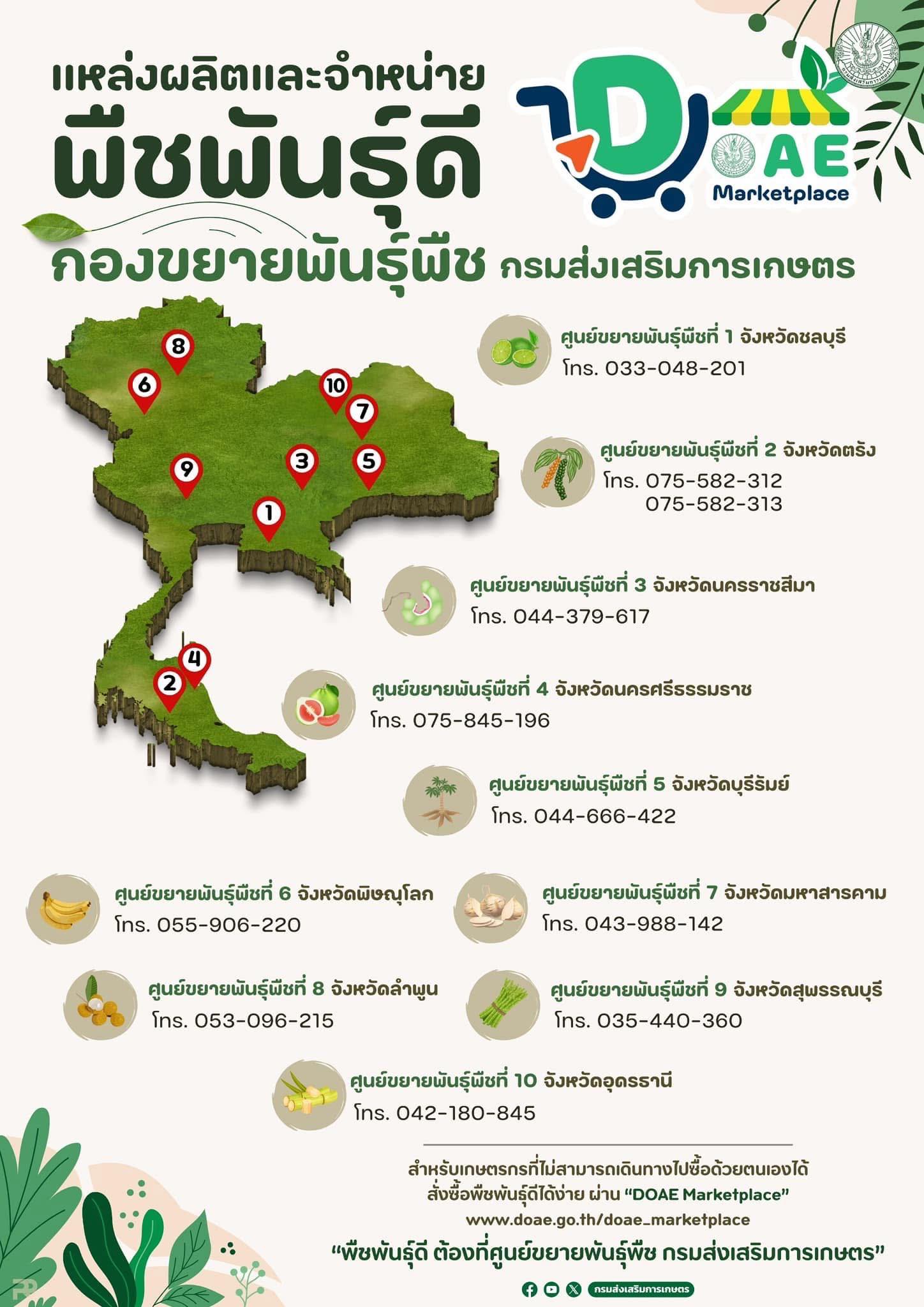 เกษตรกรสามารถเข้าถึง 562350748