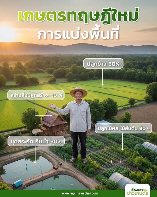 เกษตรทฤษฎีใหม่:การจัดสรรพื้นที่อยู่อาศัยและที่ทำกิน 2 567975687 1621201175866925 553886531586325895 n