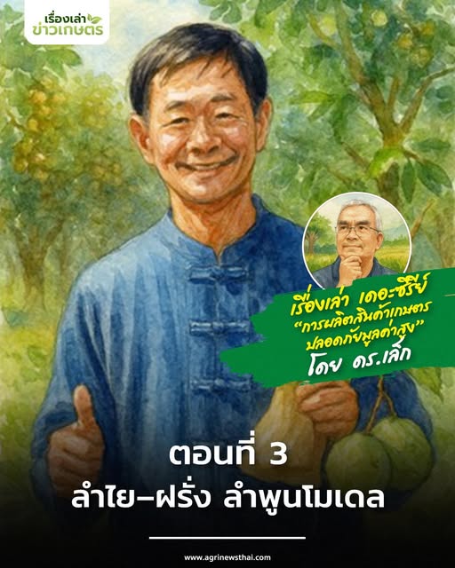 เรื่องเล่า เดอะซีรีส์ “การผลิตสินค้าเกษตรปลอดภัยมูลค่าสูง” กับ …ดร.เล็ก ตอนที่ 3 : “ลำไย–ฝรั่ง ลำพูนโมเดล” 5 570380801 1624825855504457 1212184460694018890 n