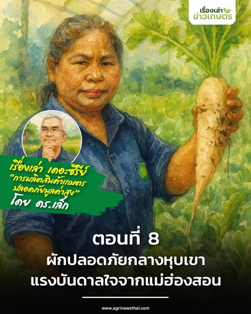 เรื่องเล่า เดอะซีรีส์“การผลิตสินค้าเกษตรปลอดภัยมูลค่าสูง” ตอนที่ 8 : “ผักปลอดภัยกลางหุบเขา…แรงบันดาลใจจากแม่ฮ่องสอน” 7 571205258 1626731191980590 213954904875254024 n