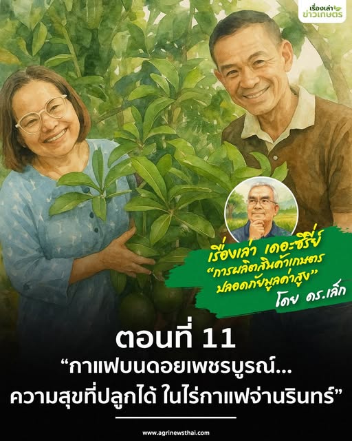 เรื่องเล่า เดอะซีรีส์ “การผลิตสินค้าเกษตรปลอดภัยมูลค่าสูง” ตอนที่ 11 : “กาแฟบนดอยเพชรบูรณ์…ความสุขที่ปลูกได้ ในไร่กาแฟจ่านรินทร์” 7 571265875 1628493351804374 1087322756147828306 n