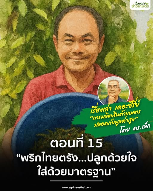 เรื่องเล่า เดอะซีรีส์ “การผลิตสินค้าเกษตรปลอดภัยมูลค่าสูง” ตอนที่ 15 : “พริกไทยตรัง…ปลูกด้วยใจ ใส่ด้วยมาตรฐาน” 5 571270880 1630276324959410 2540637882735908736 n