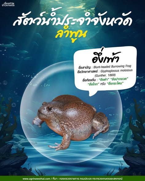 571341194 1630290911624618 7097124906314171028 n