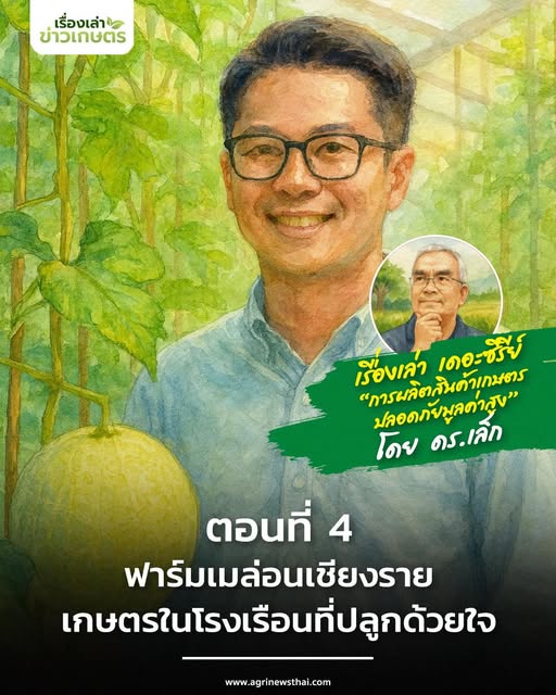 เรื่องเล่าเดอะซีรีส์ “การผลิตสินค้าเกษตรปลอดภัยมูลค่าสูง” ตอนที่ 4 : “ฟาร์มเมล่อนเชียงราย…เกษตรในโรงเรือนที่ปลูกด้วยใจ” 10 571358220 1624841142169595 1278720951044408173 n