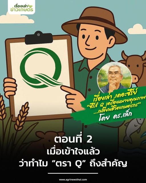 ซีรีส์ Q เครื่องหมายคุณภาพเปลี่ยนชีวิตเกษตรกร ตอนที่ 2 เมื่อเข้าใจแล้วว่าทำไม “ตรา Q” ถึงสำคัญ ขั้นตอนต่อไป“ทำอย่างไรจึงจะได้มันมา” 24 571637277 1631066141547095 4298832318728344916 n 1