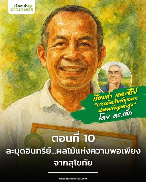 เรื่องเล่า เดอะซีรีส์“การผลิตสินค้าเกษตรปลอดภัยมูลค่าสูง”ตอนที่ 10 : “ละมุดอินทรีย์…ผลไม้แห่งความพอเพียงจากสุโขทัย” 7 573061274 1627638225223220 9214018099244794278 n