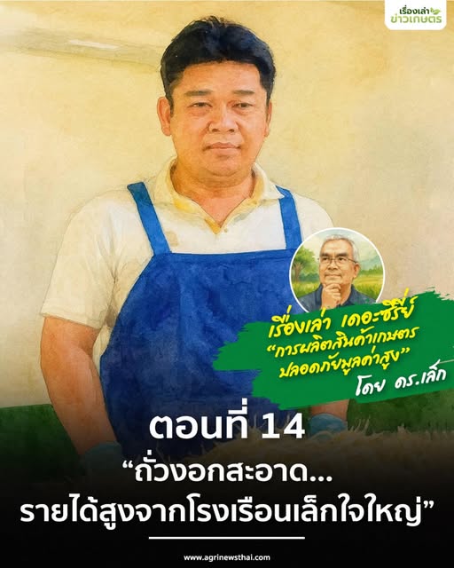 เรื่องเล่า เดอะซีรีส์ “การผลิตสินค้าเกษตรปลอดภัยมูลค่าสูง”ตอนที่ 14 : “ถั่วงอกสะอาด…รายได้สูงจากโรงเรือนเล็กใจใหญ่” 6 574497322 1629468308373545 2457740855762065252 n