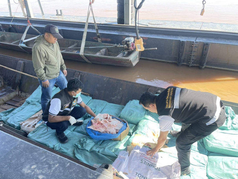 ฉก.พญานาคราช จับหนังหมูเถื่อน ริมชายแดนแม่น้ำโขง มูลค่ากว่า 112,000 บาท 6 681000000726