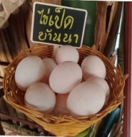 681000003507แก้