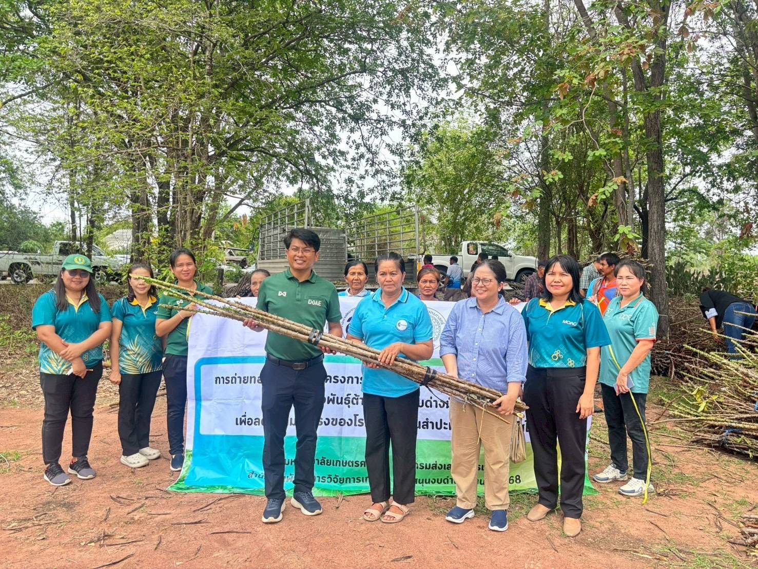 เกษตรฯ เร่งผลิต–ขยาย–กระจาย “มันสำปะหลังพันธุ์ดีต้านทานโรคใบด่าง” ครอบคลุมทั่วประเทศ 4 94893