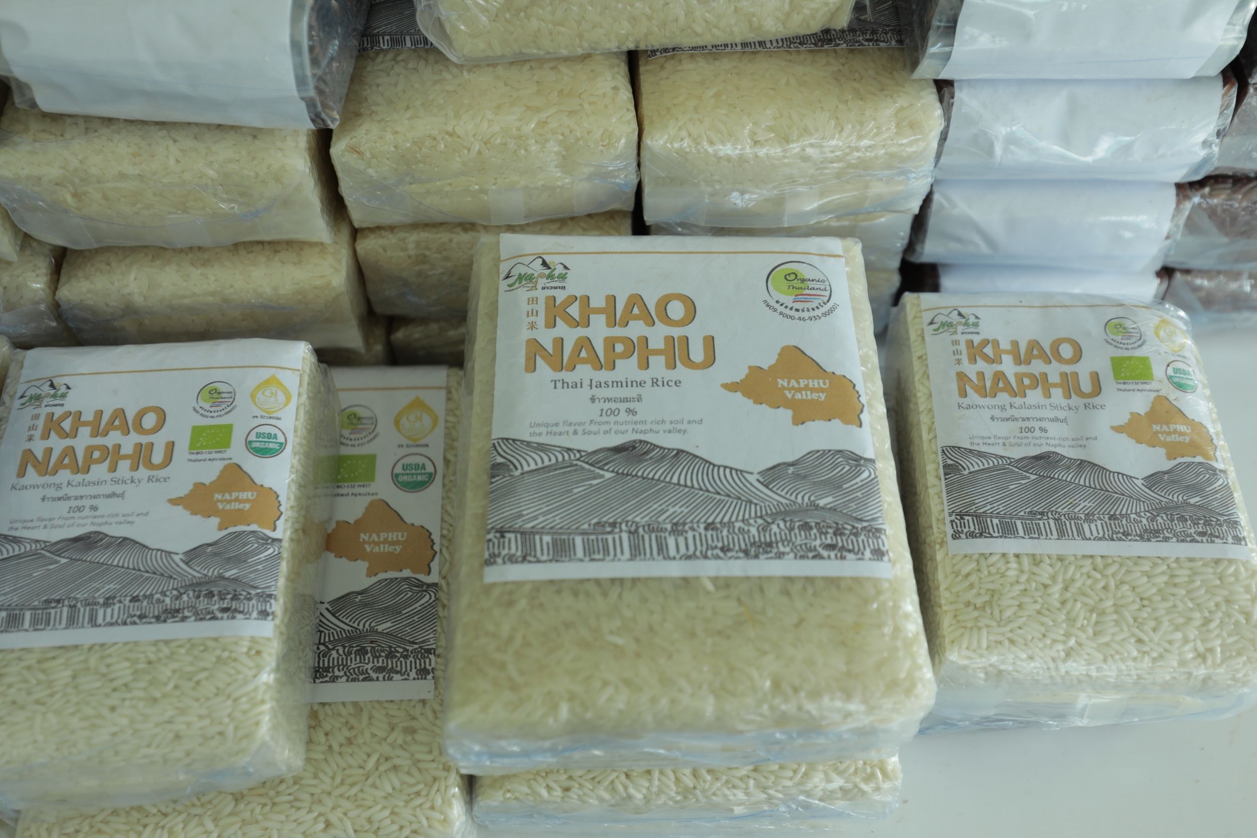 ศูนย์เมล็ดพันธุ์ข้าวกาฬสินธุ์ เบื้องหลังความสำเร็จ ของเกษตรกรดีเด่นแห่งชาติ 6 949337 1