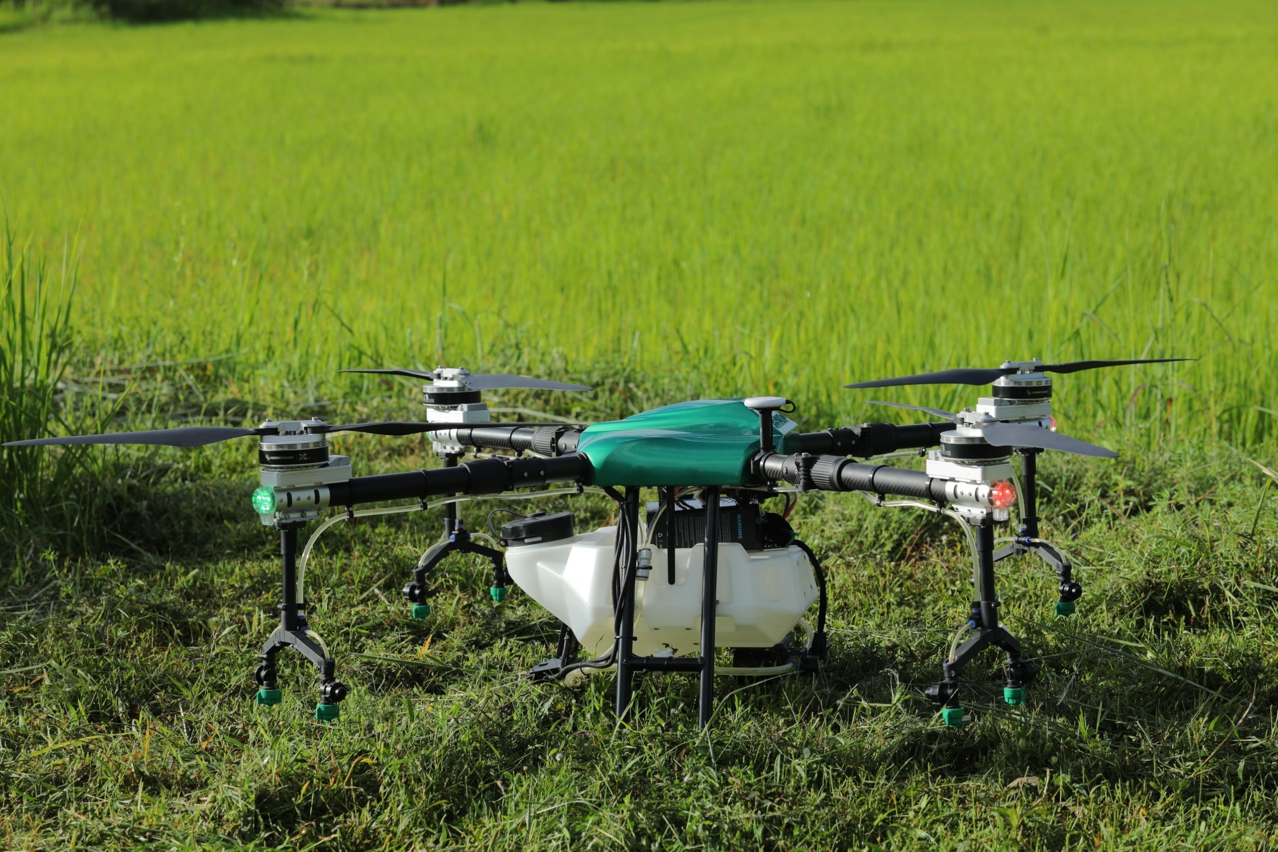 วิสาหกิจชุมชนเกษตรอินทรีย์นาภู ผู้ผลิตข้าวเหนียวเขาวงกาฬสินธุ์อันเลื่องชื่อ 5 949998