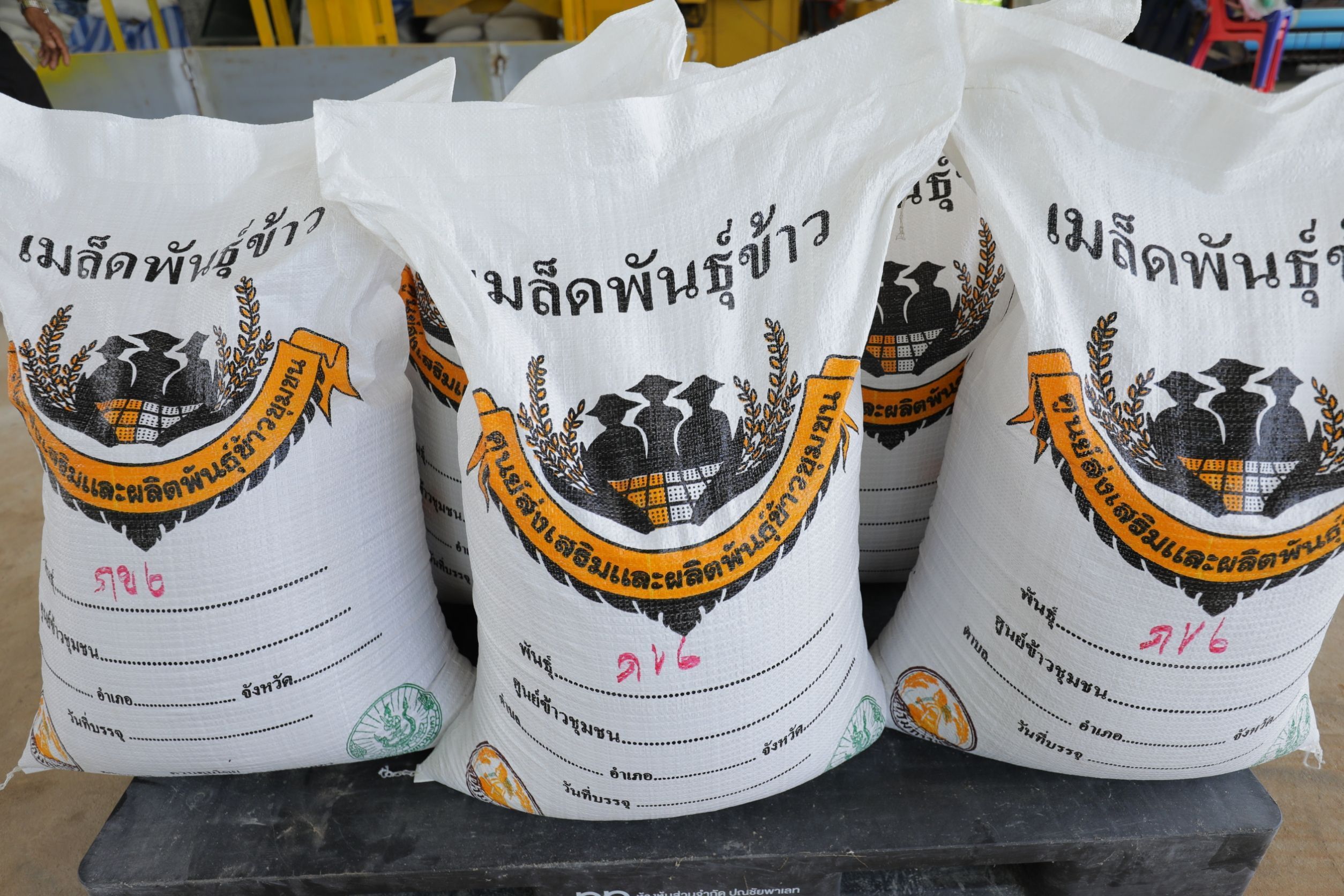 วิสาหกิจชุมชนเกษตรอินทรีย์นาภู ผู้ผลิตข้าวเหนียวเขาวงกาฬสินธุ์อันเลื่องชื่อ 8 950000