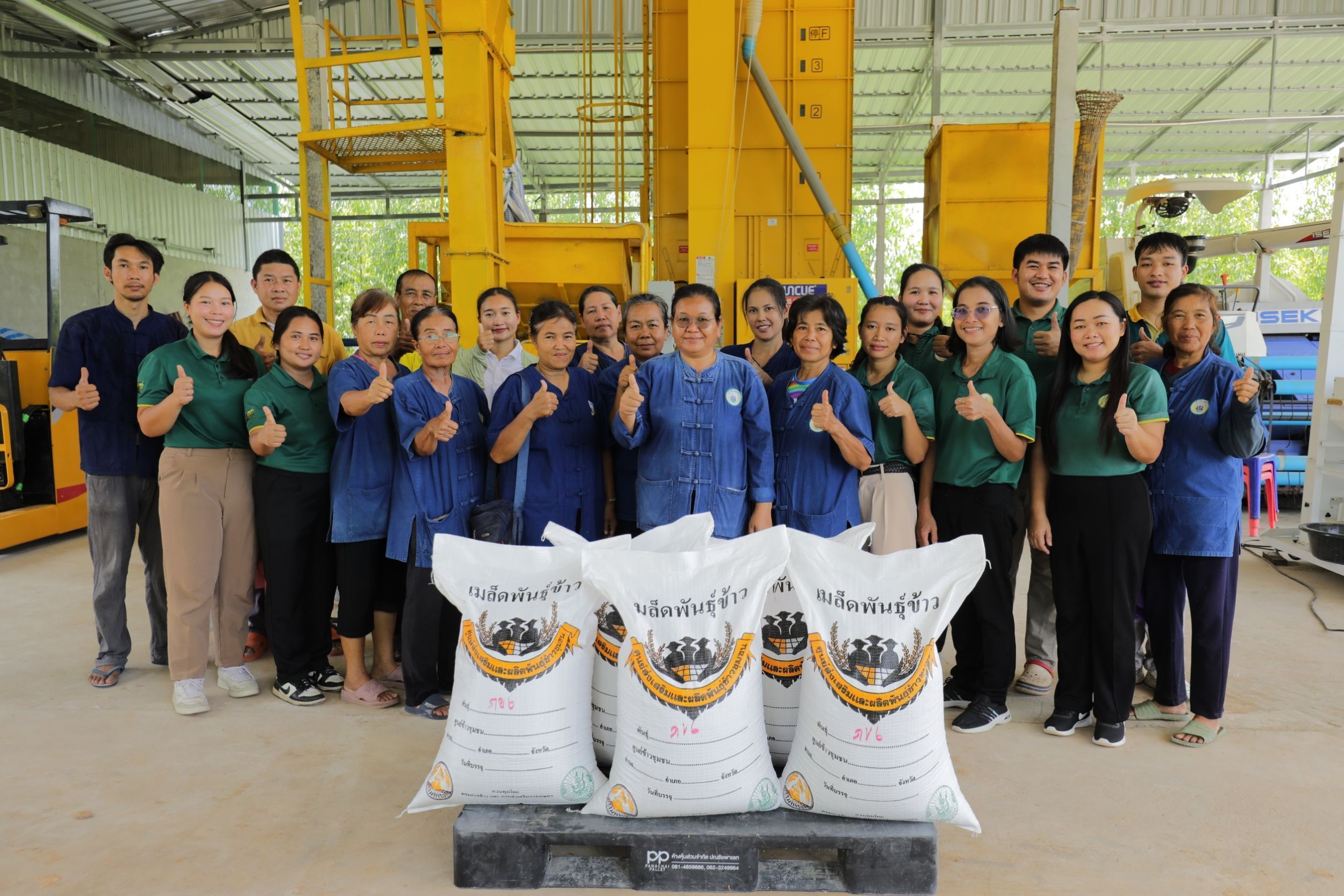 วิสาหกิจชุมชนเกษตรอินทรีย์นาภู ผู้ผลิตข้าวเหนียวเขาวงกาฬสินธุ์อันเลื่องชื่อ 9 950001