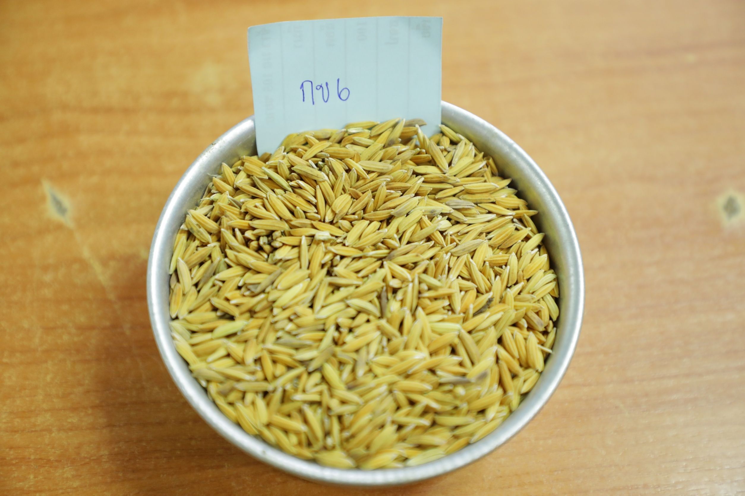 วิสาหกิจชุมชนเกษตรอินทรีย์นาภู ผู้ผลิตข้าวเหนียวเขาวงกาฬสินธุ์อันเลื่องชื่อ 10 950002