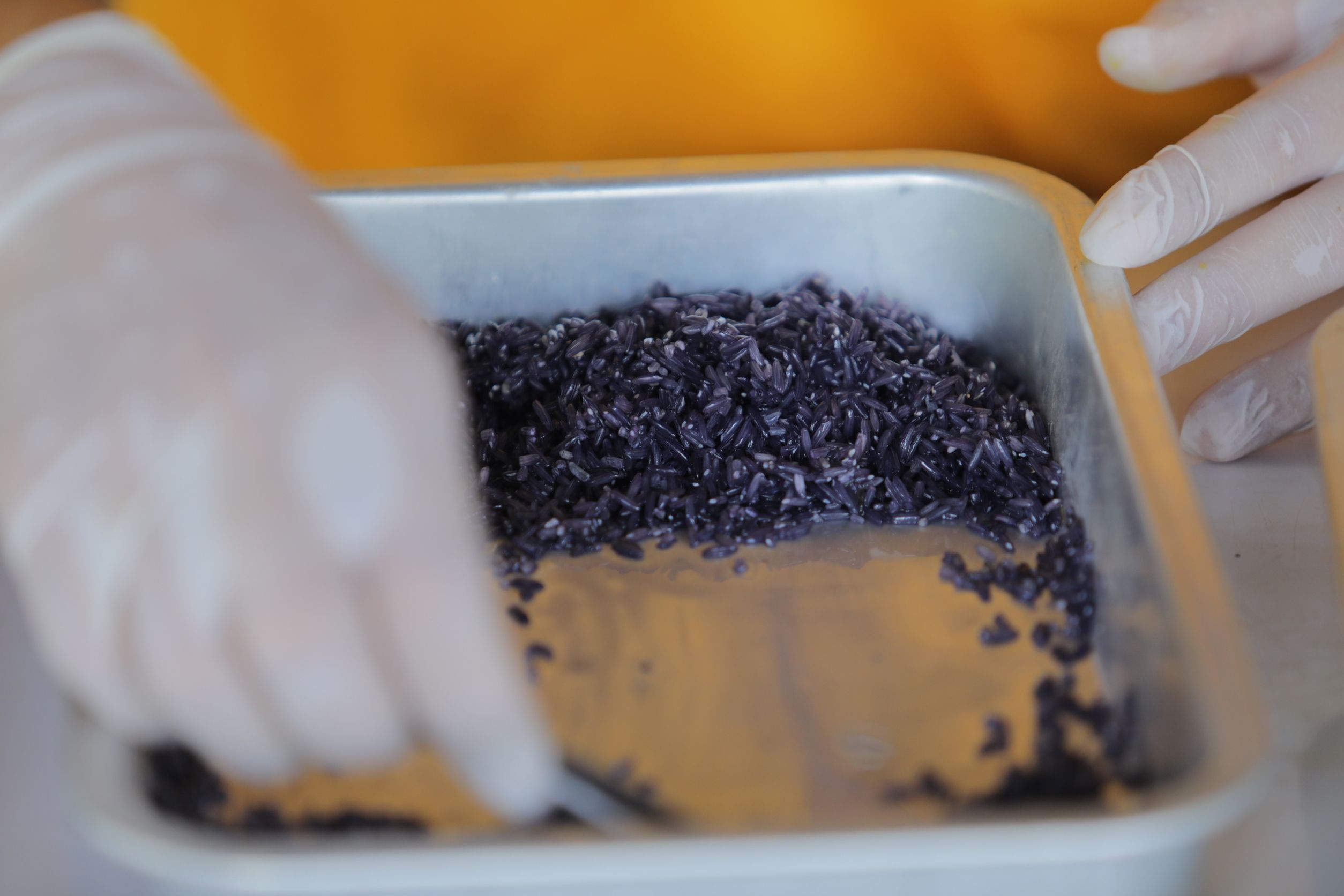 ศูนย์เมล็ดพันธุ์ข้าวกาฬสินธุ์ เบื้องหลังความสำเร็จ ของเกษตรกรดีเด่นแห่งชาติ 10 951195