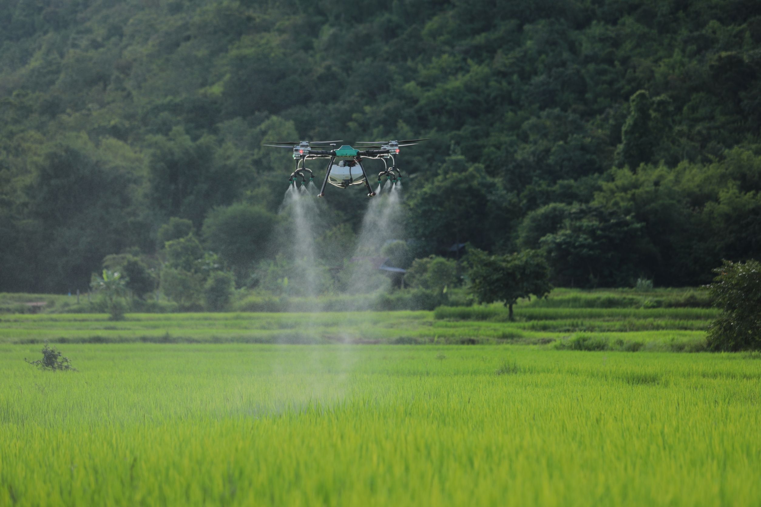 ศูนย์เมล็ดพันธุ์ข้าวกาฬสินธุ์ เบื้องหลังความสำเร็จ ของเกษตรกรดีเด่นแห่งชาติ 3 951199