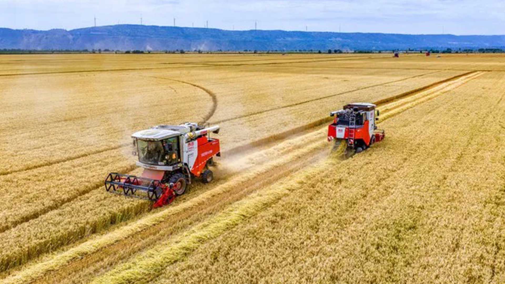 จีนส่งเครื่องจักรเกษตร ช่วยแหล่งผลิต ‘ธัญพืช’ เก็บเกี่ยวหนีฝนกระหน่ำ 1 IMG 6748