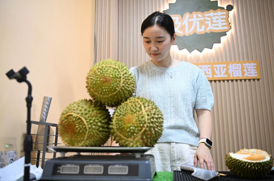 มาเลเซียส่งออก 'ทุเรียนมูซังคิง' ถึงจีนไวใน 36 ชม. 5 IMG 6834