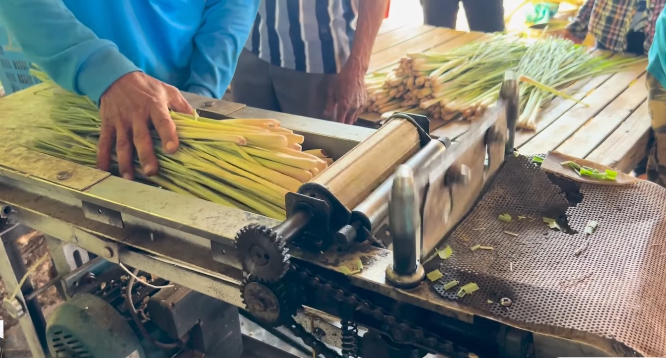 ต้นแบบแปลงใหญ่ ‘ตะไคร้บ้านวงฆ้อง’ จ.กำแพงเพชร รวมกลุ่มผลิตมาตรฐาน GAP สร้างรายได้ หนุนเศรษฐกิจชุมชน 10 LINE ALBUM ข่าวตะไคร้ สศท 12 251022 2 0